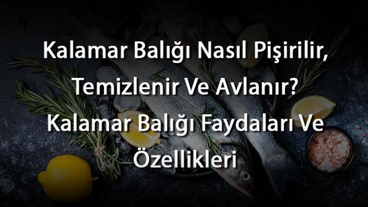 Kalamar Balığı Nasıl Pişirilir, Temizlenir Ve Avlanır? Kalamar Balığı Faydaları Ve Özellikleri