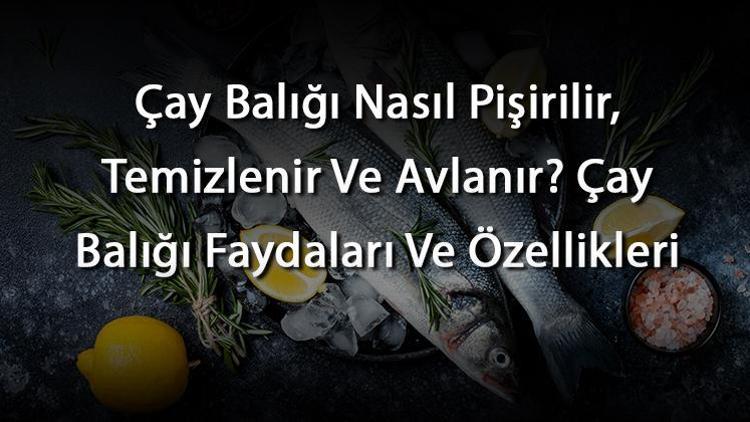 Çay Balığı Nasıl Pişirilir, Temizlenir Ve Avlanır? Çay Balığı Faydaları Ve Özellikleri