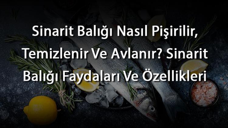 Sinarit Balığı Nasıl Pişirilir, Temizlenir Ve Avlanır? Sinarit Balığı Faydaları Ve Özellikleri