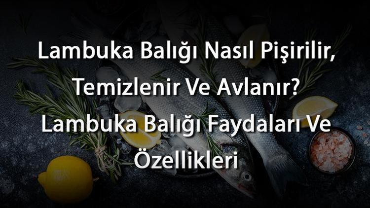 Lambuka Balığı Nasıl Pişirilir, Temizlenir Ve Avlanır? Lambuka Balığı Faydaları Ve Özellikleri