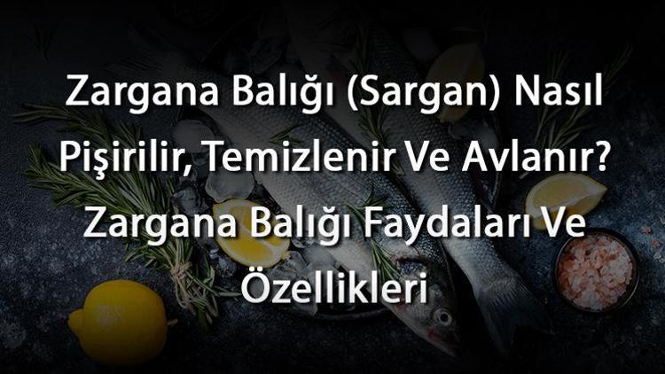 Zargana Balığı (Sargan) Nasıl Pişirilir, Temizlenir Ve Avlanır? Zargana Balığı Faydaları Ve Özellikleri