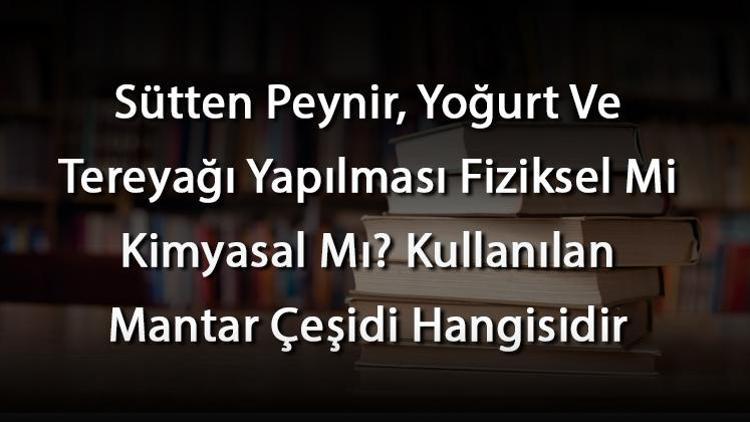 Sütten Peynir, Yoğurt Ve Tereyağı Yapılması Fiziksel Mi Kimyasal Mı Kullanılan Mantar Çeşidi Hangisidir