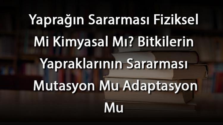 Yaprağın Sararması Fiziksel Mi Kimyasal Mı Bitkilerin Yapraklarının Sararması Mutasyon Mu Adaptasyon Mu