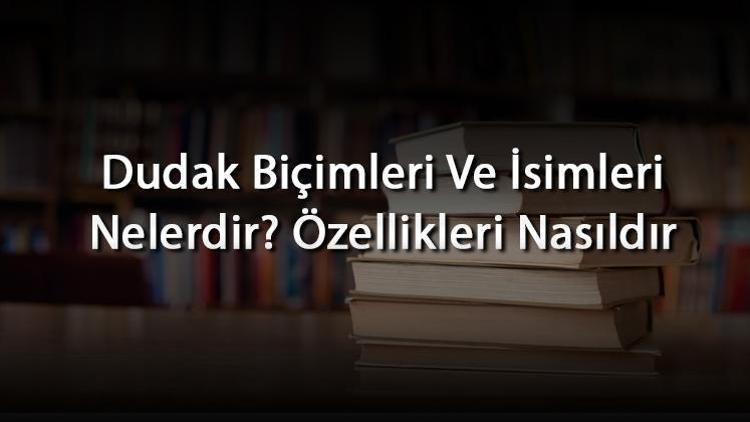 Dudak Biçimleri Ve İsimleri Nelerdir? Özellikleri Nasıldır