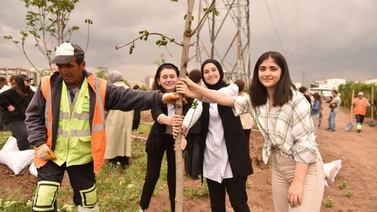 Bin 919 fidan toprakla buluştu