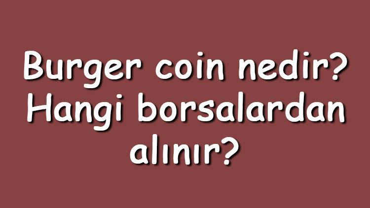 Burger coin nedir Hangi borsalardan alınır Burger Swap ne zaman çıktı Ne iş yapar