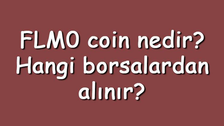 FLM0 coin nedir Hangi borsalardan alınır Flamingo ne zaman çıktı Ne iş yapar