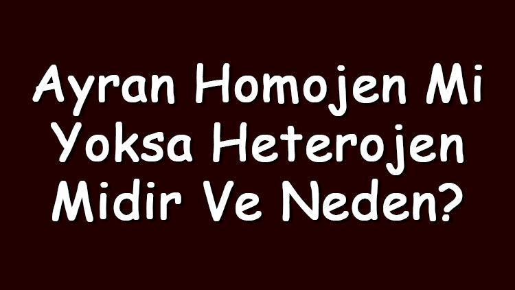 Ayran homojen mi yoksa heterojen midir ve neden