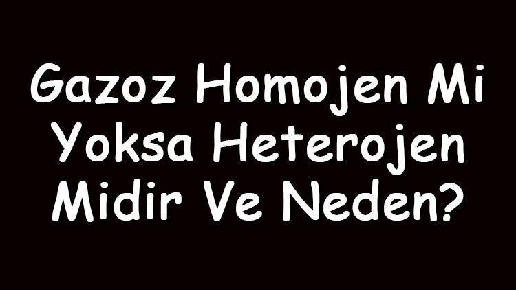 Gazoz homojen mi yoksa heterojen midir ve neden