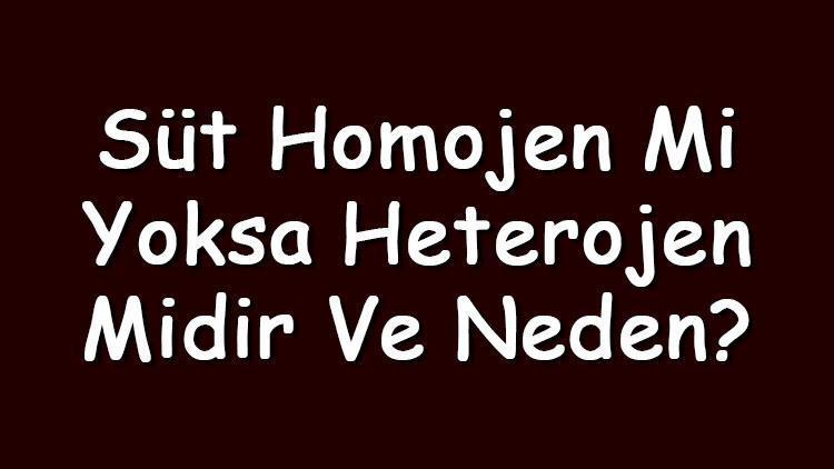 Süt homojen mi yoksa heterojen midir ve neden