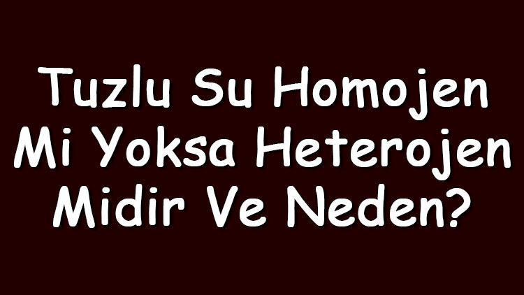 Tuzlu su homojen mi yoksa heterojen midir ve neden