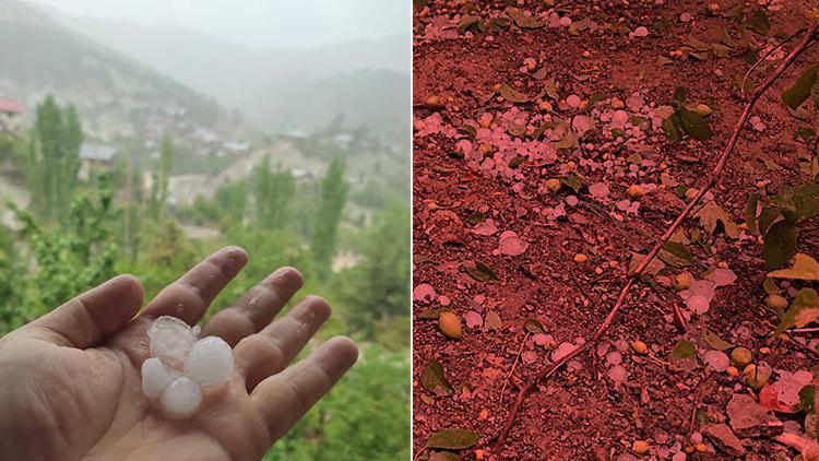 Feke’de dolu yağışı, tarım arazilerine zarar verdi