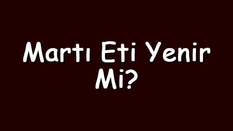 Martı eti yenir mi ya da neden yenmez Martı eti zararlı mıdır