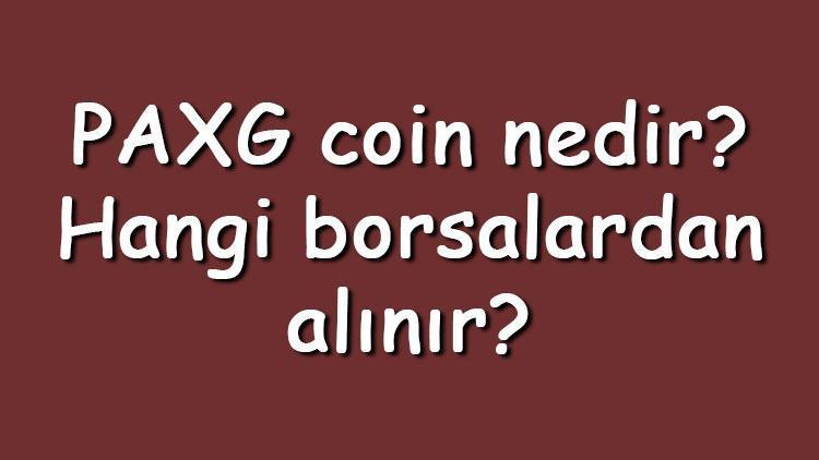 PAXG coin nedir Hangi borsalardan alınır PAX Gold ne zaman çıktı Ne iş yapar