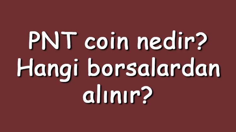 PNT coin nedir Hangi borsalardan alınır pNetwork ne zaman çıktı Ne iş yapar