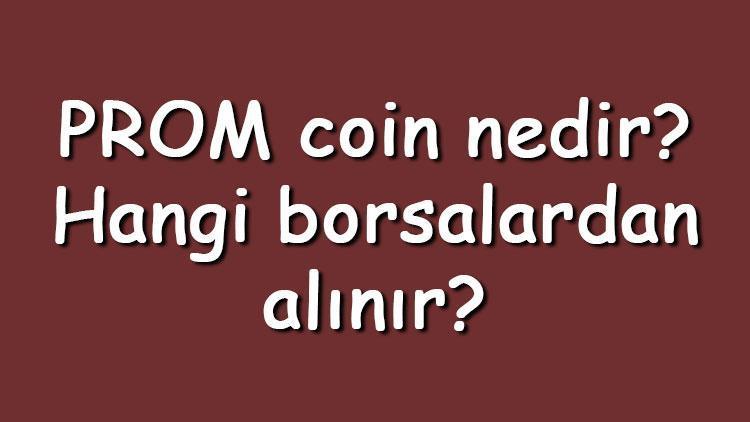 PROM coin nedir Hangi borsalardan alınır Prometeus ne zaman çıktı Ne iş yapar