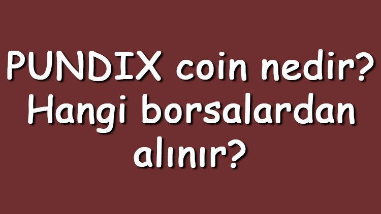 PUNDIX coin nedir Hangi borsalardan alınır Pundi X[new] ne zaman çıktı Ne iş yapar