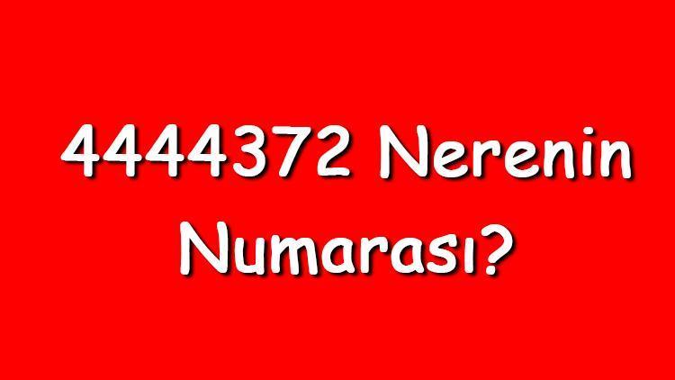 4444372 nerenin numarası 444 4 372 telefon numarası hangi firmaya ait