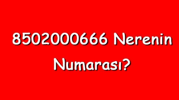 8502000666 nerenin numarası 850 200 06 66 telefon numarası hangi firmaya ait