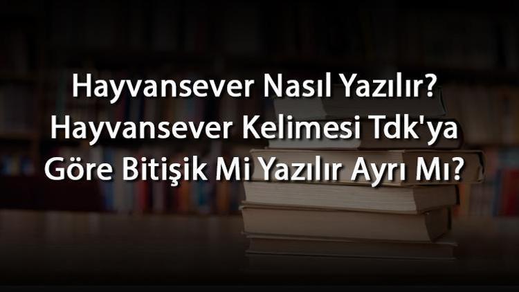 Hayvansever Nasıl Yazılır Hayvansever Kelimesi Tdkya Göre Bitişik Mi Yazılır Ayrı Mı