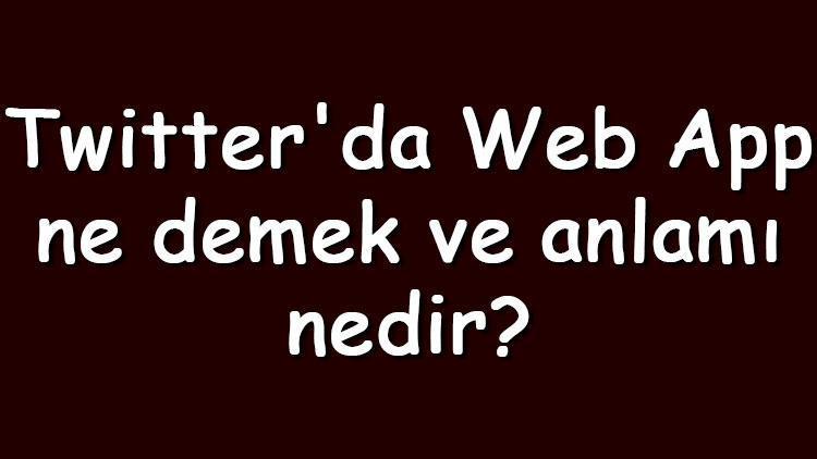 Twitterda web app ne demek ve anlamı nedir Güvenlik için neye dikkat etmek gerekir