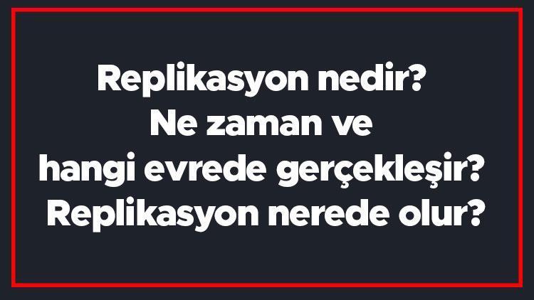 Replikasyon nedir Ne zaman ve hangi evrede gerçekleşir Replikasyon nerede olur