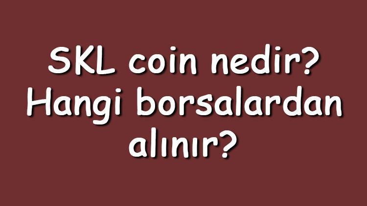 SKL coin nedir Hangi borsalardan alınır SKALE ne zaman çıktı Ne iş yapar