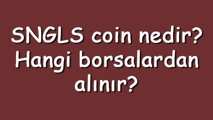 SNGLS coin nedir Hangi borsalardan alınır SingularDTV ne zaman çıktı Ne iş yapar