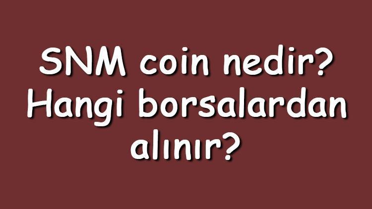 SNM coin nedir Hangi borsalardan alınır SONM ne zaman çıktı Ne iş yapar