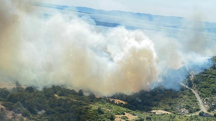 İzmirin Karaburun ve Dikili ilçesinde makilik ve orman yangını