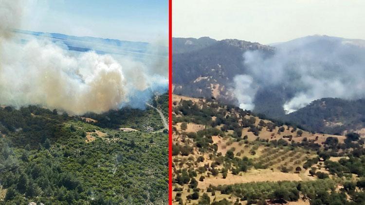 İzmir’de 12 hektar orman yandı