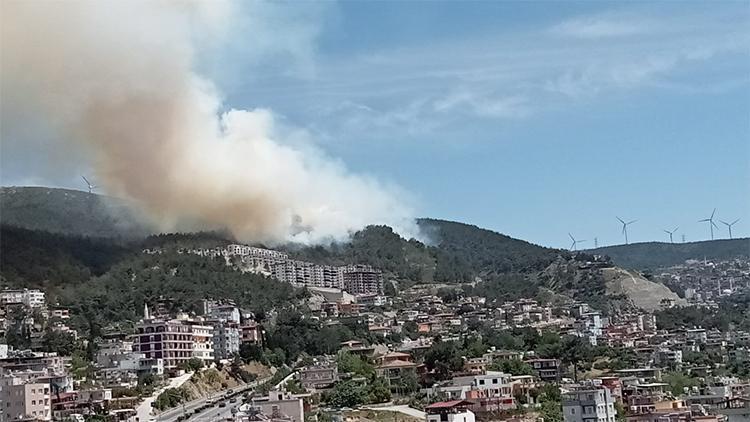 Hataydaki orman yangınında bir kişi tutuklandı