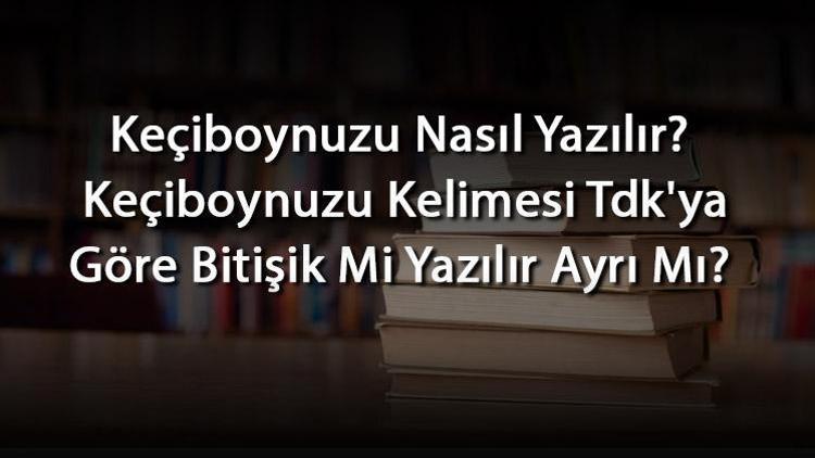 Keçiboynuzu Nasıl Yazılır Keçiboynuzu Kelimesi Tdkya Göre Bitişik Mi Yazılır Ayrı Mı