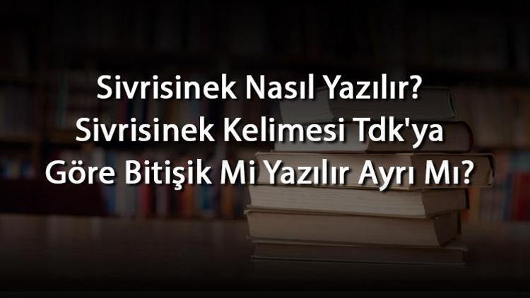 Sivrisinek Nasıl Yazılır Sivrisinek Kelimesi Tdkya Göre Bitişik Mi Yazılır Ayrı Mı