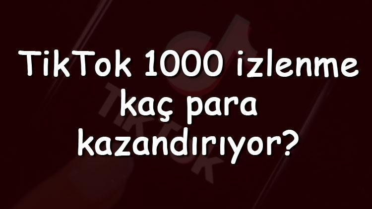 TikTok 1000 izlenme kaç para kazandırıyor ve kaç TL veriyor