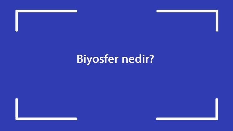 Biyosfer nedir Nelerden oluşur Coğrafyada biyosfer canlı küre ne demektir