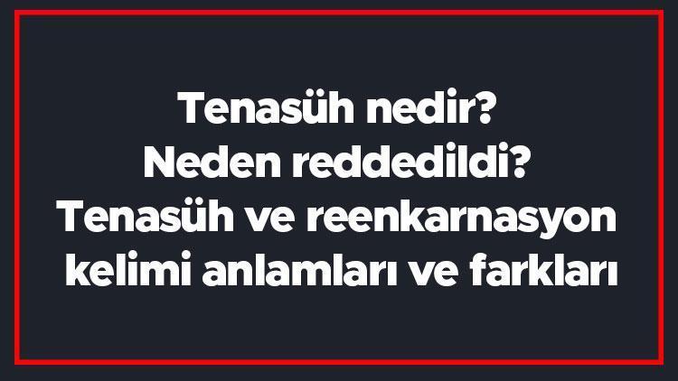 Tenasüh nedir Neden reddedildi Tenasüh ve reenkarnasyon kelimi anlamları ve farkları