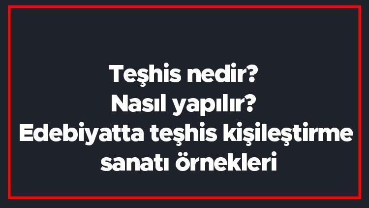 Teşhis nedir Nasıl yapılır Edebiyatta teşhis kişileştirme sanatı örnekleri