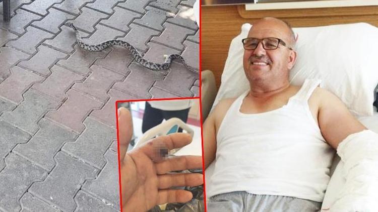 Bursa’da elini yılan ısırdı Yılanı poşete koyarak hastaneye koştu