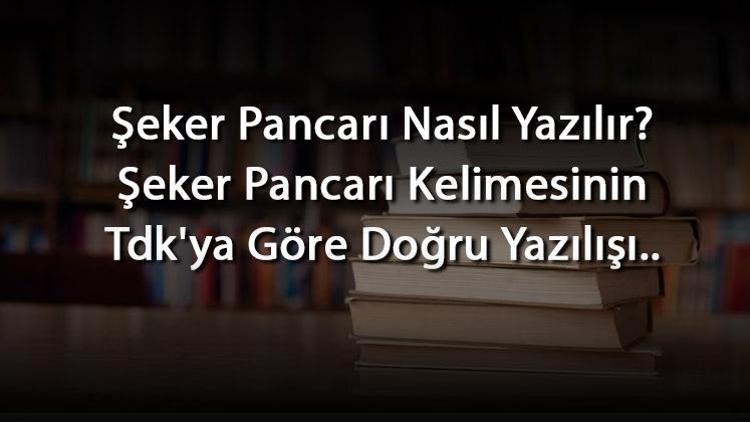 Şeker Pancarı Nasıl Yazılır Şeker Pancarı Kelimesinin Tdkya Göre Doğru Yazılışı..