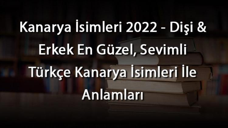 Kanarya İsimleri 2022 - Dişi & Erkek En Güzel, Sevimli Türkçe Kanarya İsimleri İle Anlamları