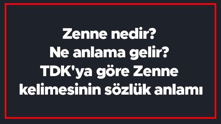 Zenne nedir Ne anlama gelir TDKya göre Zenne kelimesinin sözlük anlamı