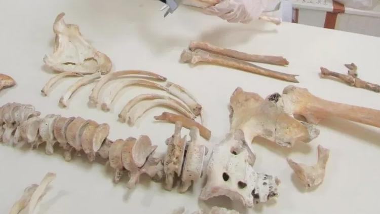 Pompeii kurbanına genom dizilimi yapıldı: Anadolu kökenli olabilir