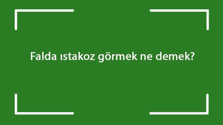 Falda ıstakoz görmek ne demek Kahve falında ıstakoz çıkması anlamı nedir