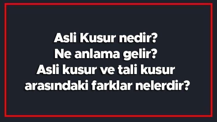 Asli Kusur nedir Ne anlama gelir Asli kusur ve tali kusur arasındaki farklar nelerdir