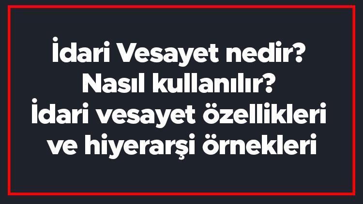 İdari Vesayet nedir Nasıl kullanılır İdari vesayet özellikleri ve hiyerarşi örnekleri