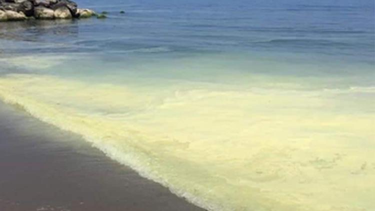 Sinopta sahilde endişelendiren görüntü Nedeni araştırılıyor