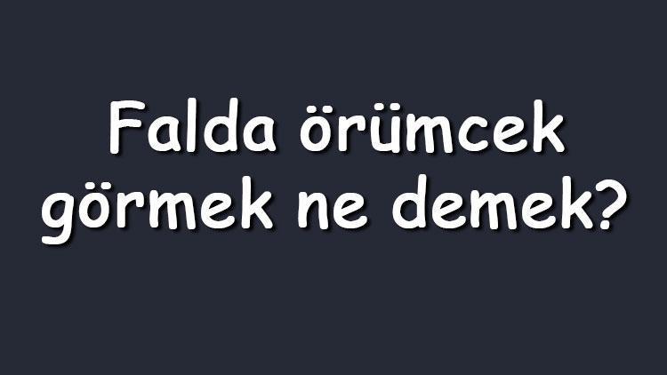 Falda örümcek görmek ne demek? Kahve falında büyük, beyaz, ters, siyah örümcek ve örümcek ağı çıkması