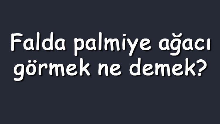 Falda palmiye ağacı görmek ne demek Kahve falında beyaz palmiye çıkması anlamı