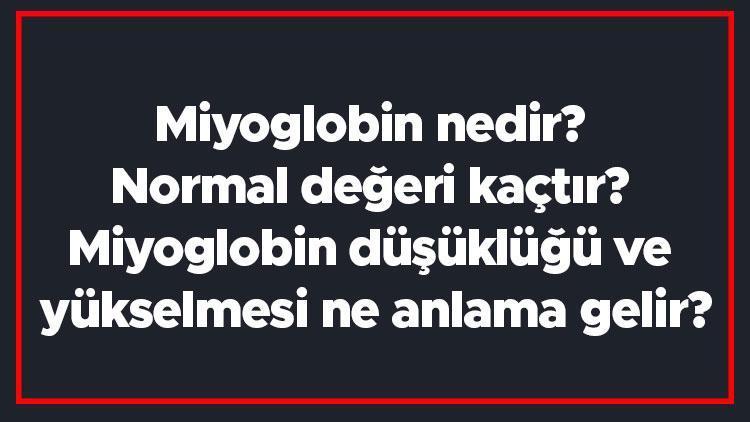 Miyoglobin nedir Normal değeri kaçtır Miyoglobin düşüklüğü ve yükselmesi ne anlama gelir